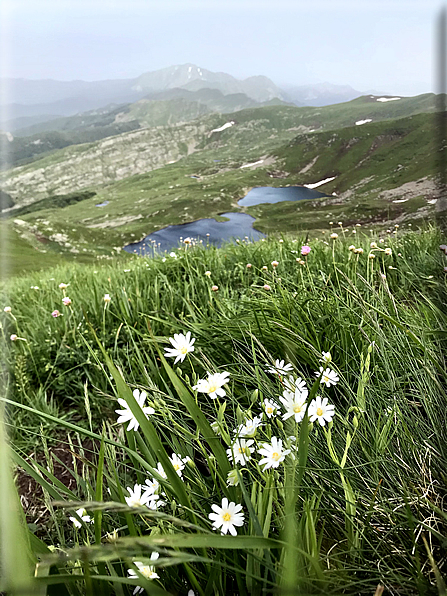 foto Parco dei Cento Laghi